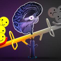 A new study from MIT finds that positive and negative emotions are controlled by two populations of neurons that are genetically programmed to encode memories of either fearful or pleasurable events.